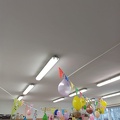 IMG-20241004-WA0015