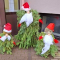 IMG-20241202-WA0009
