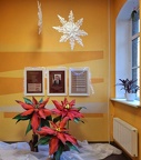 IMG-20241202-WA0012