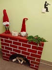 IMG-20241202-WA0013