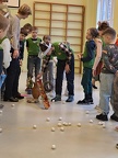 IMG-20250207-WA0018